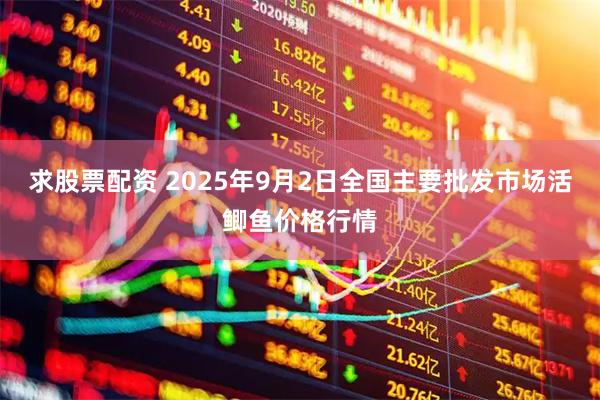 求股票配资 2025年9月2日全国主要批发市场活鲫鱼价格行情